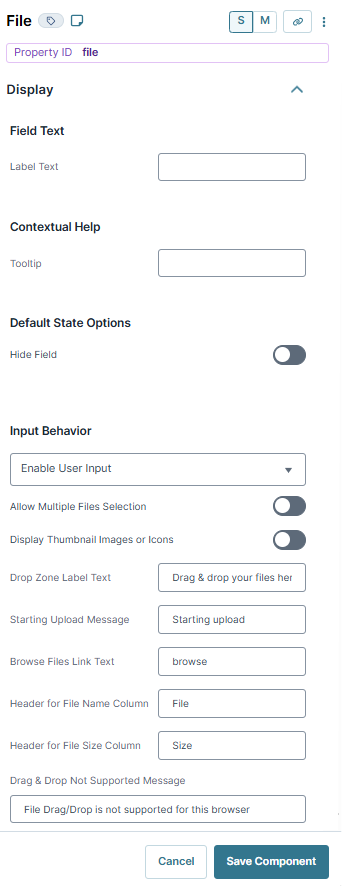 A static image displaying the File component's Display settings.